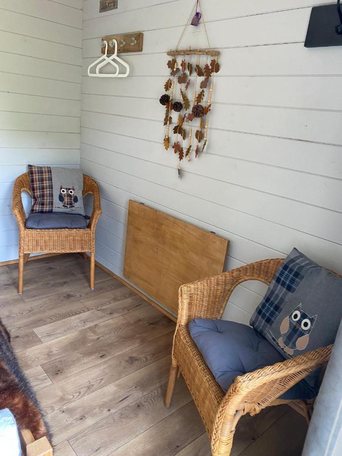 Glamping At Back Of Beyond Touring Park Hotel Saint Leonards Exterior photo