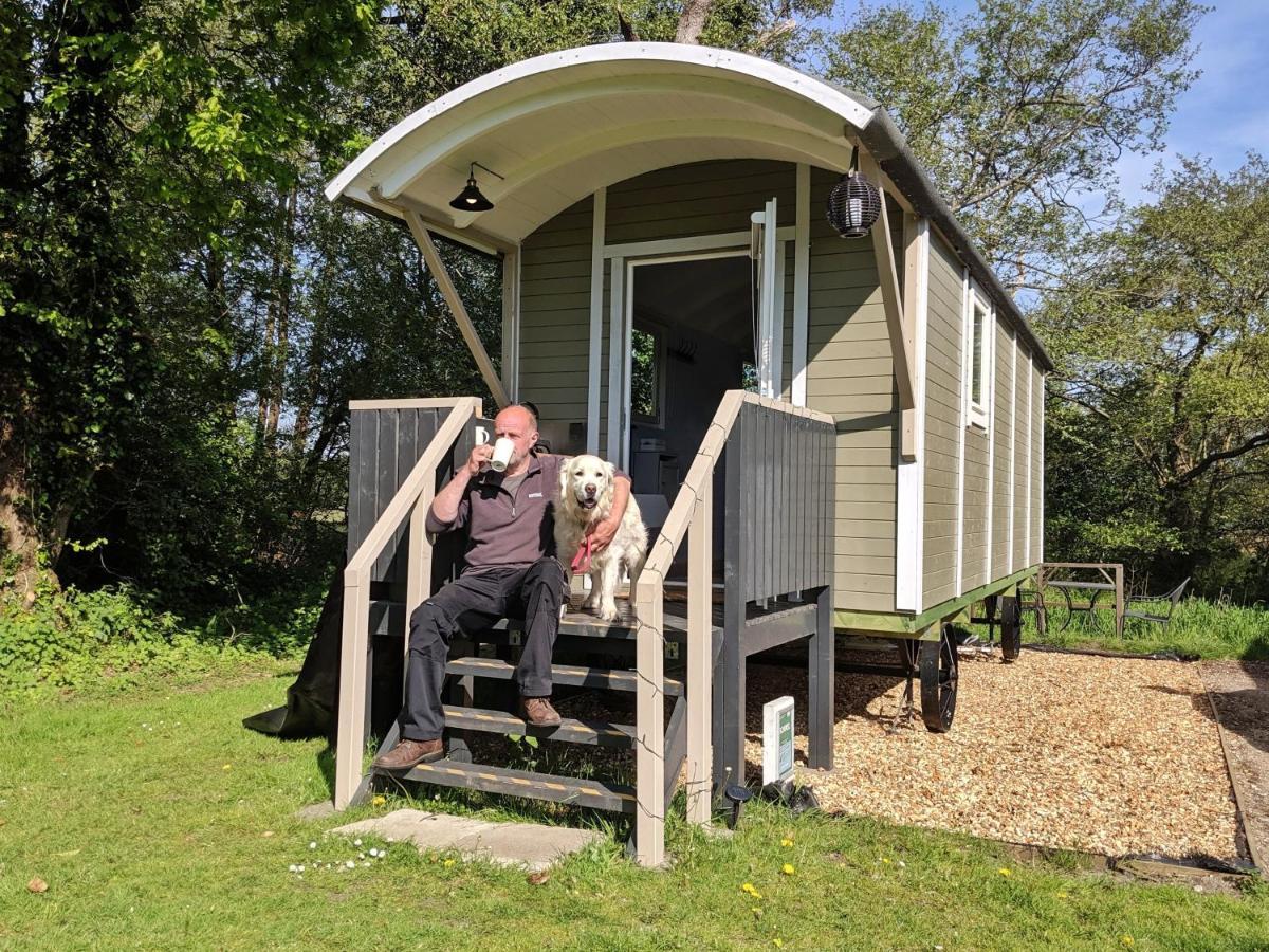 Glamping At Back Of Beyond Touring Park Hotel Saint Leonards Exterior photo